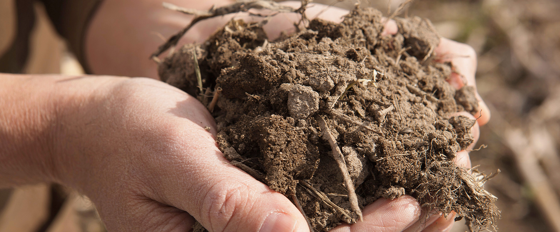 Two hands holding a mound of soil 