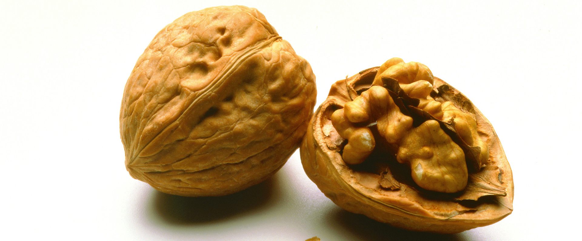 A walnut in the shell