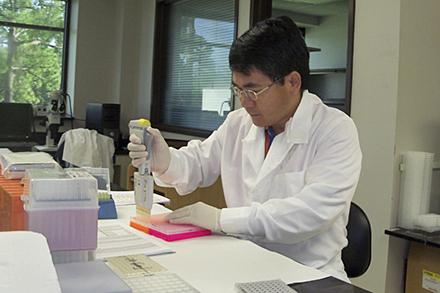 David Fang conducts DNA marker analysis in a lab.