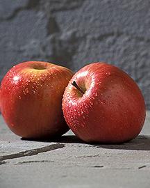 Two Fuji apples