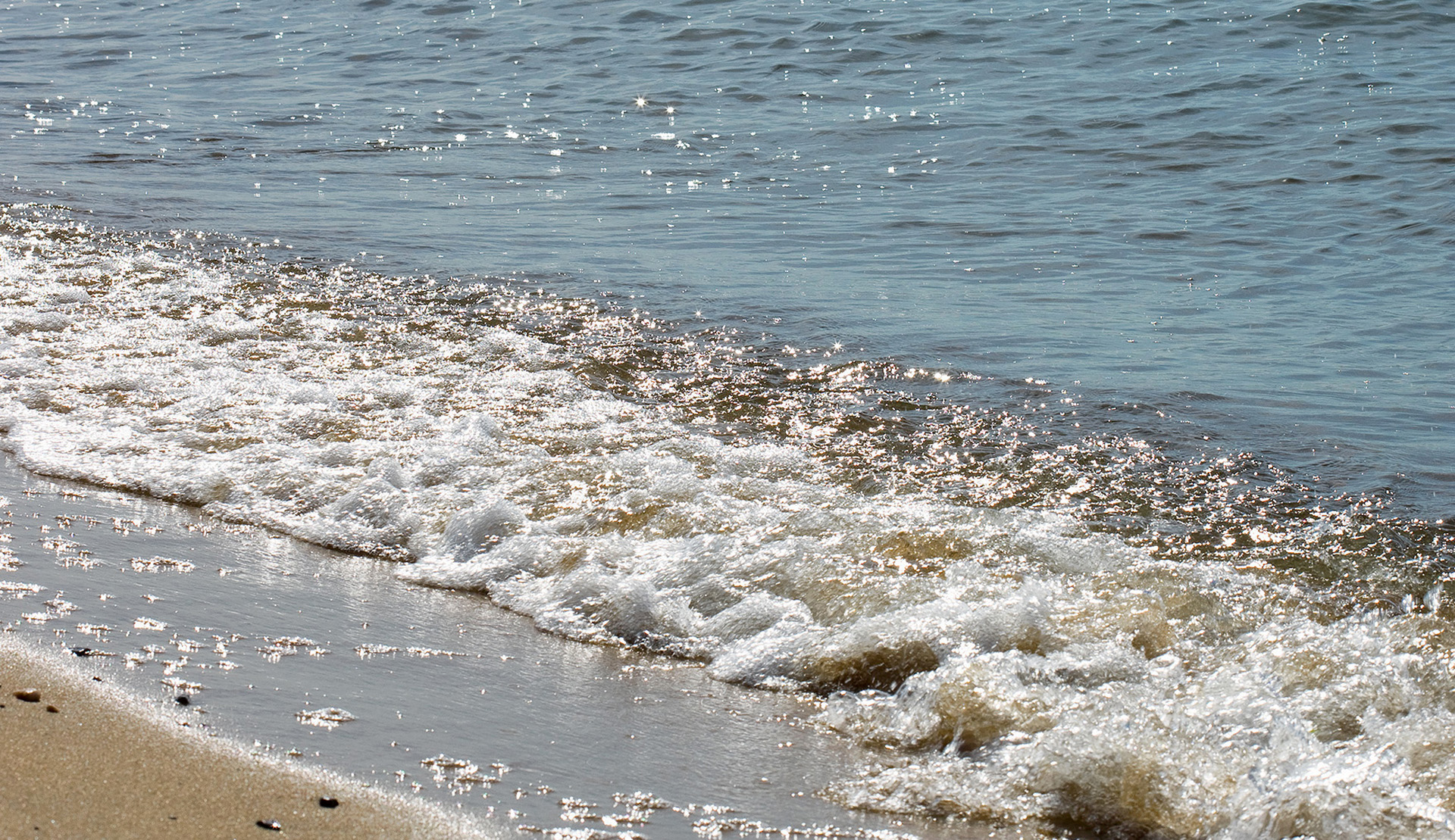 Shoreline of the Chesapeake Bay