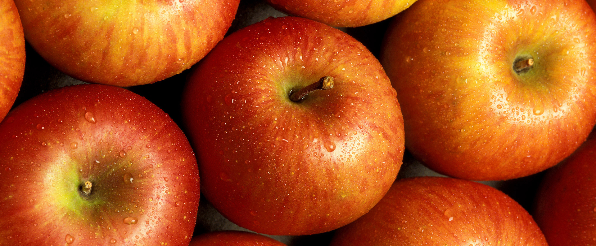 A group of Fuji apples