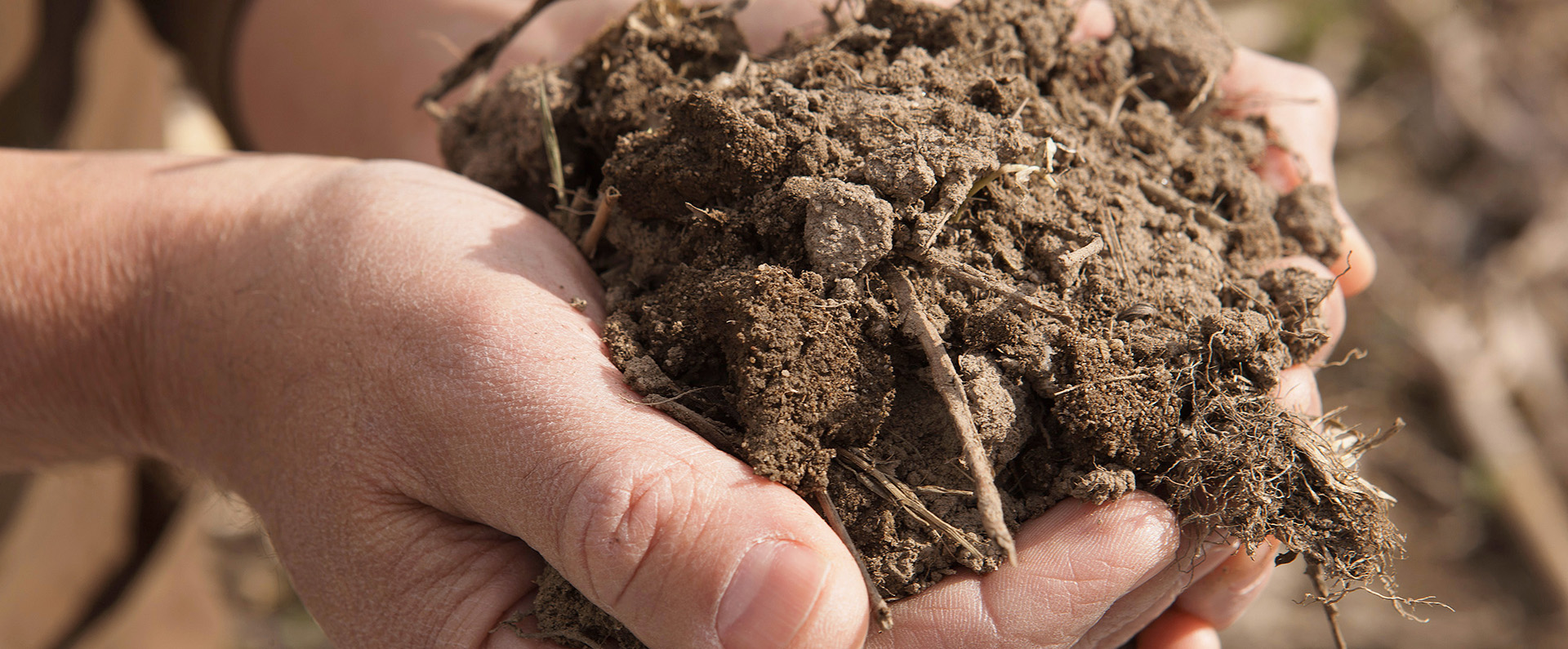 Two hands holding a mound of soil 