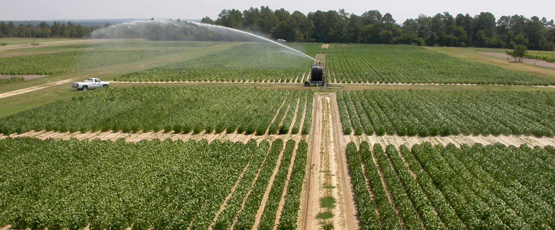 Cropproduction image