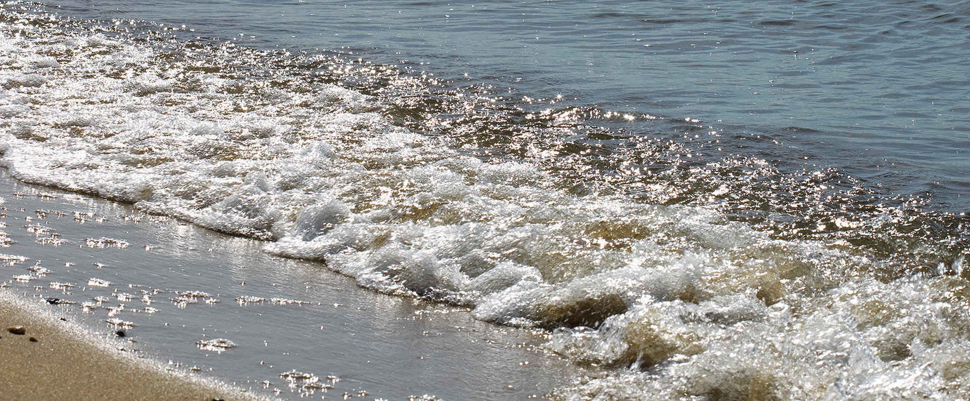 The shoreline of the Chesapeake Bay