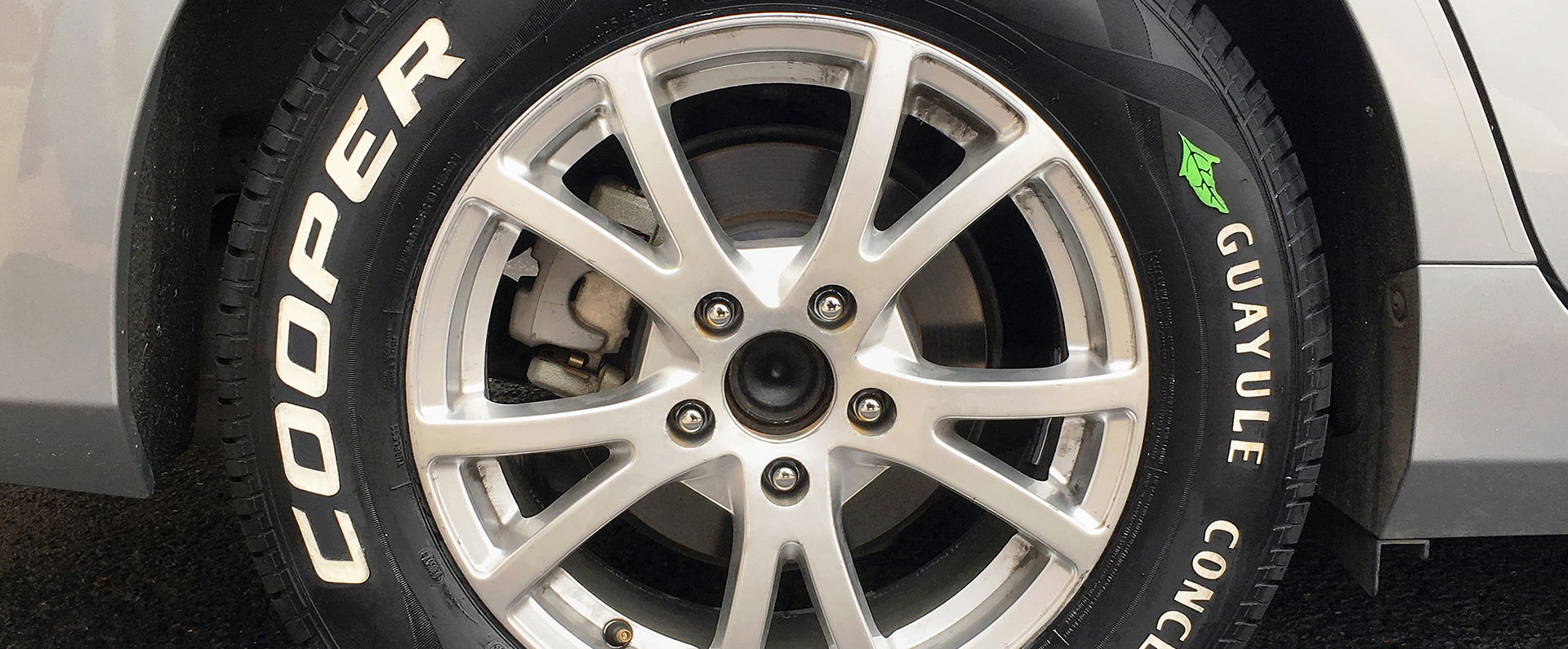 A car tire made of guayule 