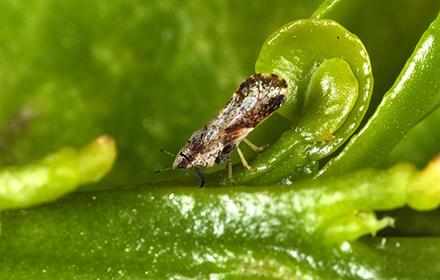 D595 1 D595 1 image