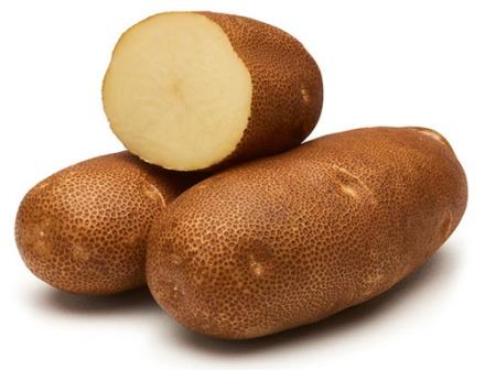 The Castle Russet. (Photo by the Potato Variety Management Institute)