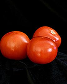 D4783 1 image