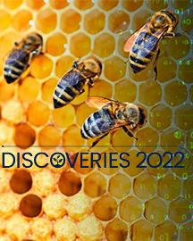 SD2022 SD2022 image