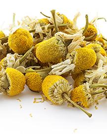 pineapple weed