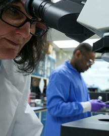 Allergy Research
