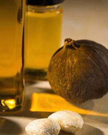 Tung tree fruit, seeds, and oil.