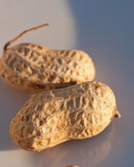 Peanuts in the shell