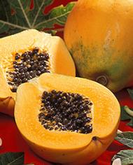 Fresh papaya sliced in half