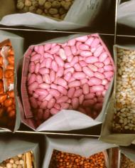 A variety of seeds