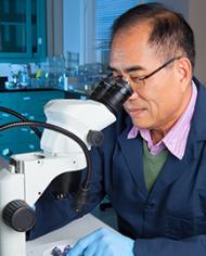 A scientist examines blueberries under a microscope.