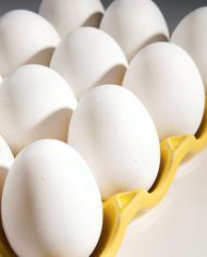 D3121-3eggs image