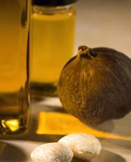 Tung tree fruit, seeds, and oil.