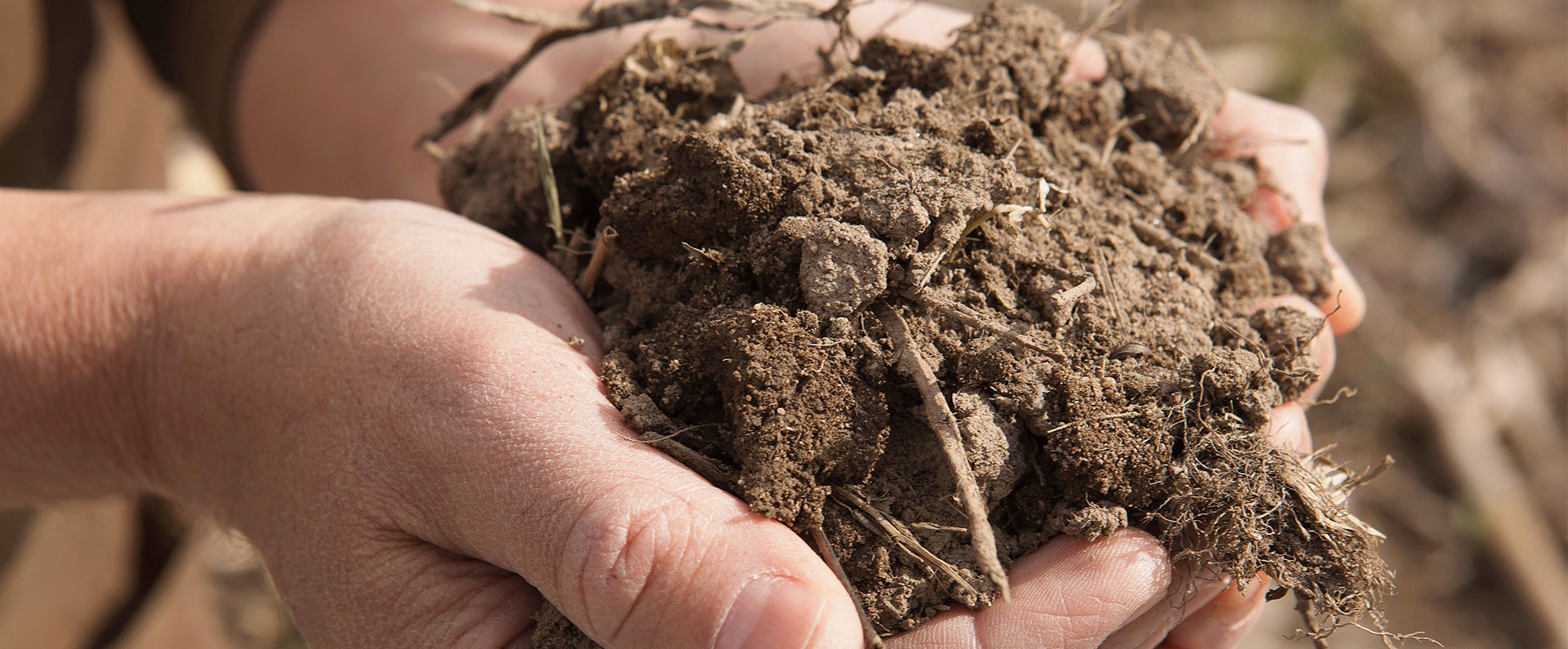 Two hands holding soil 