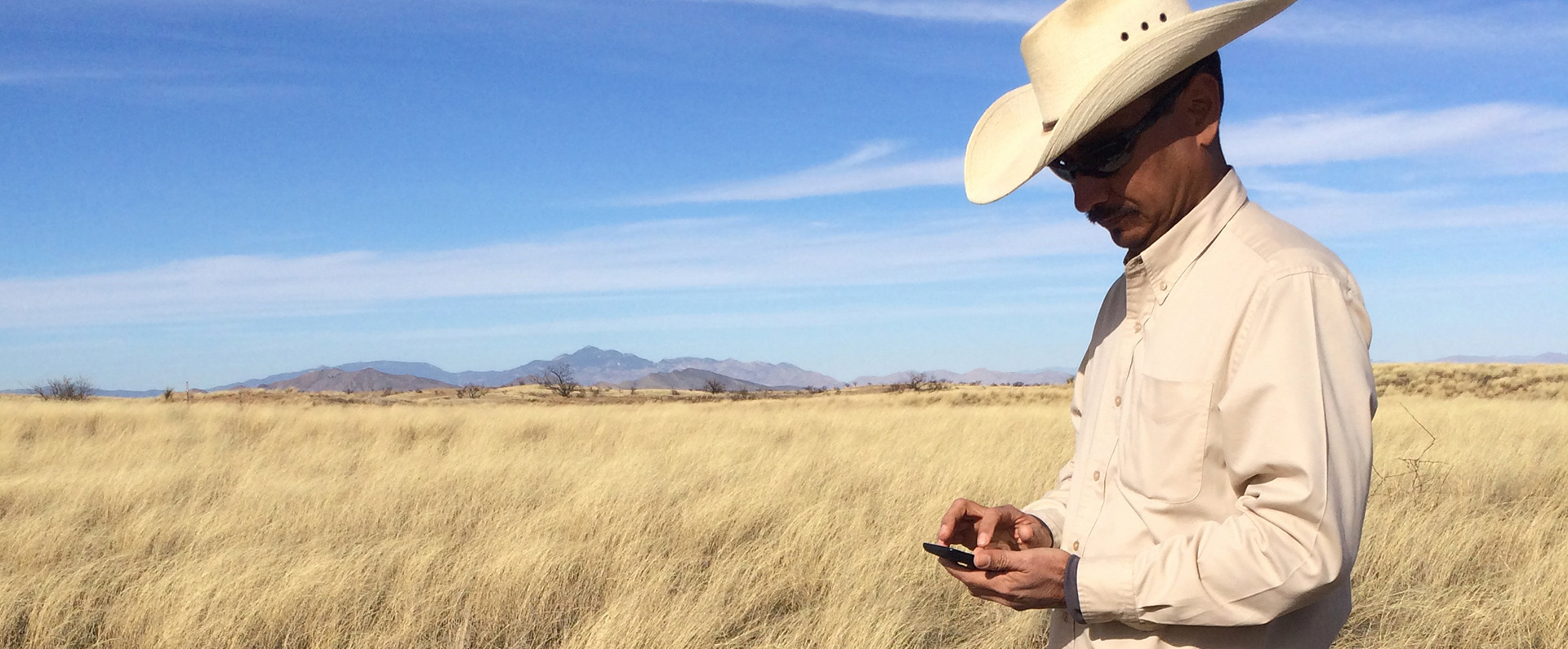 A rangeland scientist testing the LandPKS mobile app on his smartphone.