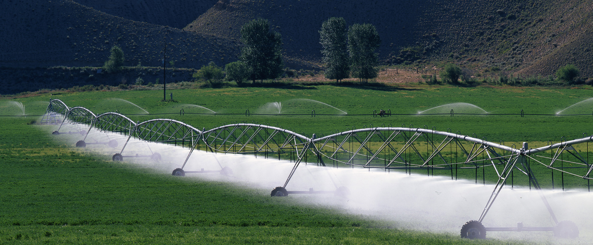 A field being irrigated