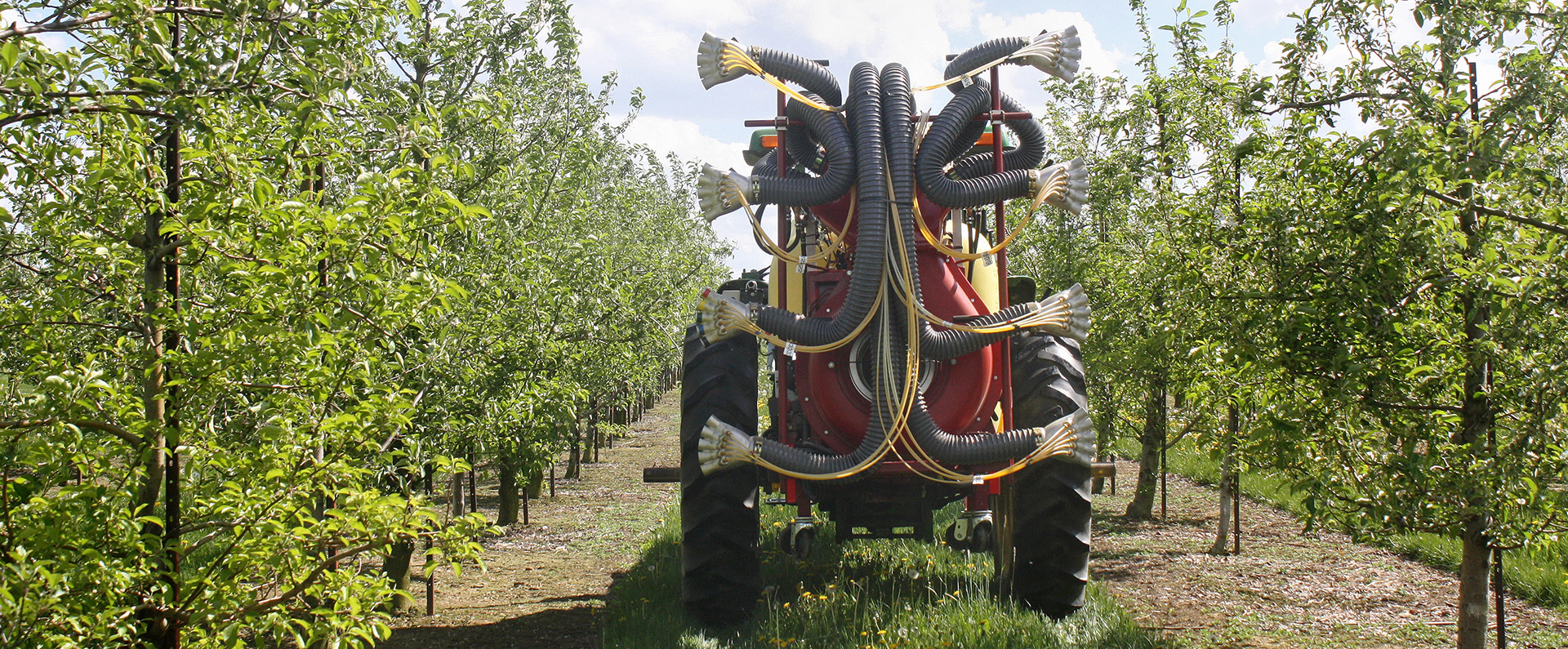 An automated spraying system in an orchard