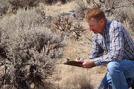ARS rangeland scientist Kirk Davies records vegetation as part of work to evaluate forecasting tools that will determine which areas have the highest probability of a large rangeland fire. (Chad Boyd, D5058-1) 