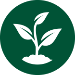 Graphic of a  white seedling on a circular dark green background
