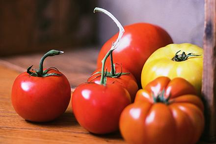 Three red tomatoes, a yellow tomato and orange tomato