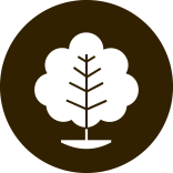 Graphic of a  white tree on a circular brown background