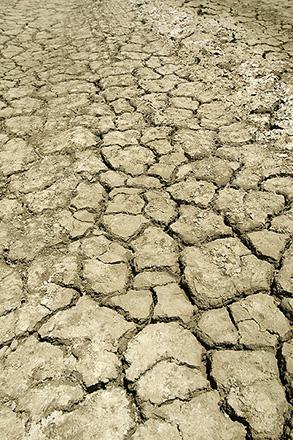 Dry and cracked soil