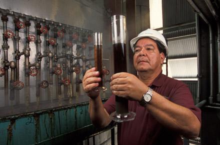 A production manager inspects clarified juices extracted from sugarcane stalks