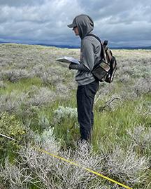 Researcher evaluating mountain big sagebrush.
