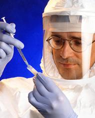 ARS veterinarian David Swayne prepares an avian influenza virus inoculum 
