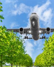 A commercial jet flying over the tops of green leafy trees