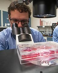 ARS microbiologists Douglas Gladue and Manuel Borca work on African swine fever vaccine in a lab